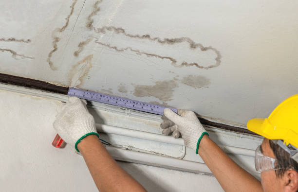 Affordable Water Damage Repair solutions in Mercer, TN